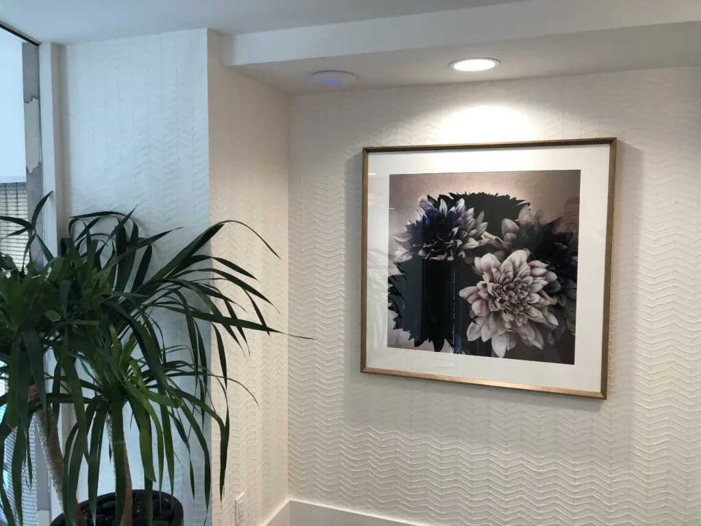 Broadstone Vilara - Laguna Niguel, CA